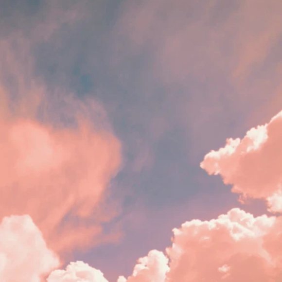 Meet your Posher, Jennifer - Picture 1 of 1